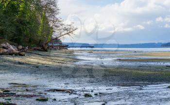 A view of the shoreline at low tide at Dash Point State Park in Washington State.