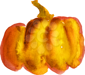 Watercolor image of pumpkin with stem on white background