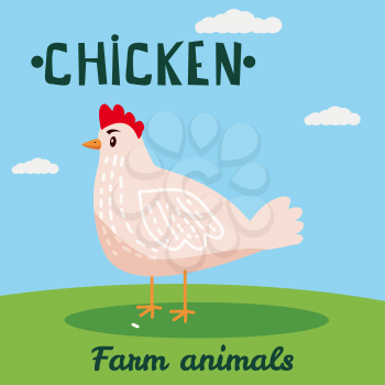 Cute Chicken farm animal character, farm animals, vector illustration on field background