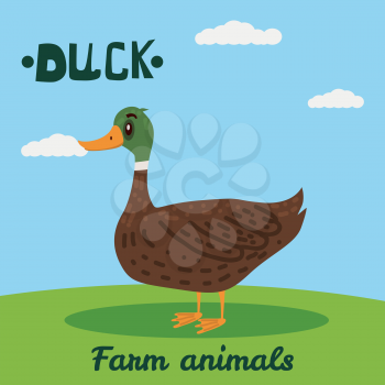 Cute Duck farm animal character, farm animals, vector illustration on field background