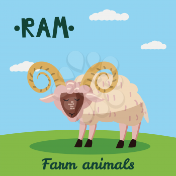 Cute Ram farm animal character, farm animals, vector illustration on field background