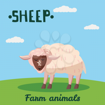 Cute Sheep farm animal character, farm animals, vector illustration on field background
