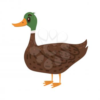 Cute duck, animal, bird trend cartoon style vector