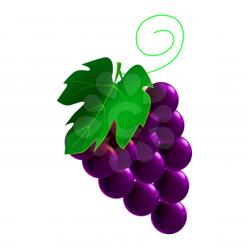 Grapes ripe, branch whole fresh organic, black color, icon. Vector illustration symbol icon cartoon realistic style