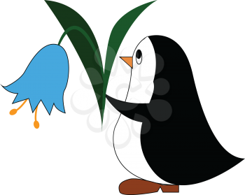 Black and white penguine holding a blue flower vector illustration on white background 