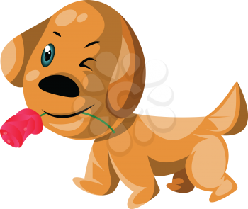 Light brown dog holding a pink rose in his mouth vector illustration on white background.