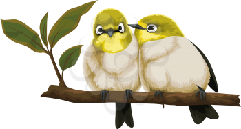 Vector illustration of lovebirds perching on tree branch.