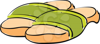 Slippers illustration vector on white background 