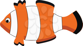 A beautiful clownfish vector or color illustration