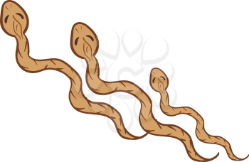 Three brown serpents crawling over white background looks terrifying vector color drawing or illustration 
