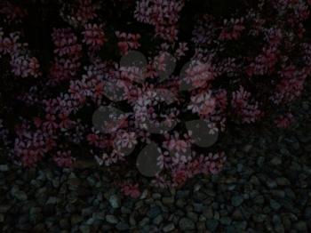 Small purple flowers bush pattern background at night subtle pink texture