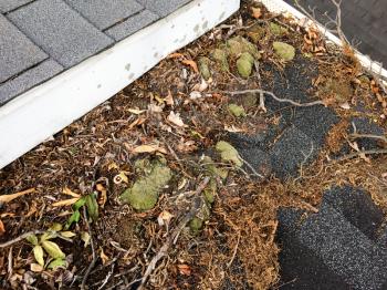 Leaves on rooftop with gutter clogging water on shingles
