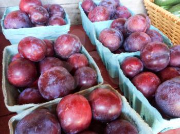 ripe plums in basket for sale farmers marketplace