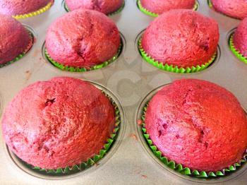 red velvet cupcakes in tray hot and fresh from oven yummy birthday treat