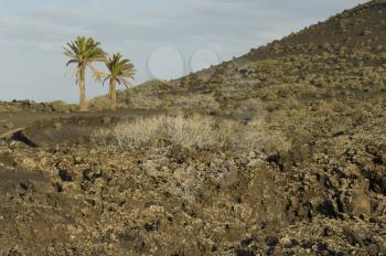 Los Volcanes Natural Park. Tinajo. Lanzarote. Canary Islands. Spain.