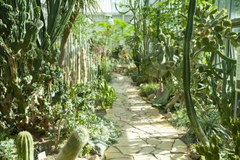 Tallinn, Estonia - June 2016: Cactus greenhouse in Tallinn botanical garden