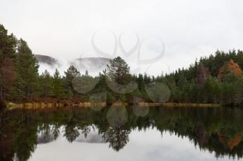 Cairngorms National Park: Uath Lochan in autumn, Kincraig, Scotland, UK