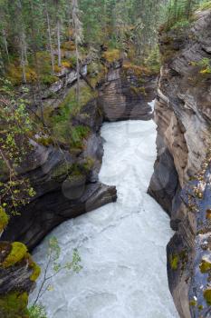 Athabasca Falls trail in Jasper National Park, Alberta, Canada