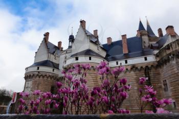 Nantes, France: 22 February 2020: Castle of the Dukes of Brittany surrounded by blossoming flowers of saucer magnolia