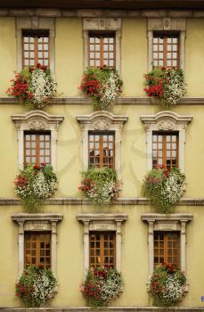 Nine beautiful windows with flowers in Europe