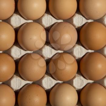 Top view of brown egg in cardboard