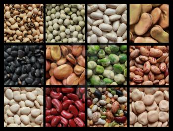 Collage showing different kind of beans like green peas, black eyed beans and brown fava.