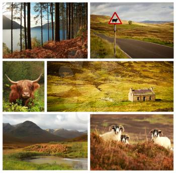 Collage showing different landscape and animals from Scotland, UK