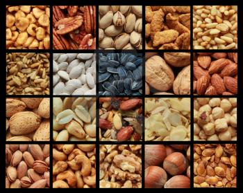 Collage showing different kind of nuts with or without shell