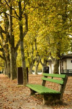 Green bench in a park with yellow leave in trees during fall season