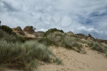 Sand dunes at Cape Woolamai at Philip island in Australia