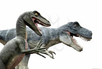 Side view of two angry dinosaurs isolated on white