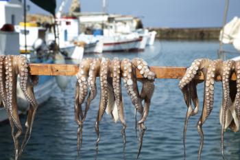 Octopus drying on a stick in Paros, Greece