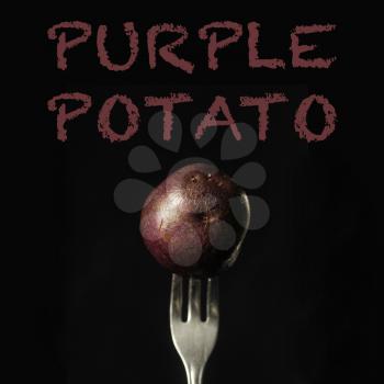 Purple potato on a fork on a black background