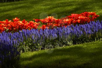 Royalty Free Photo of a Garden