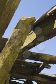 Wooden Logs Stock Photo