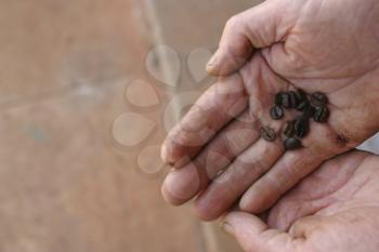 Cup Shaped Hands Stock Photo