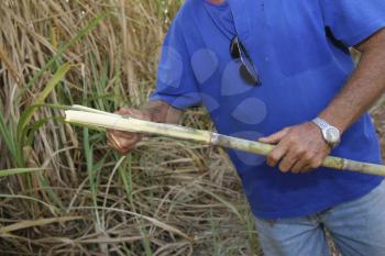 Splitting Stock Photo