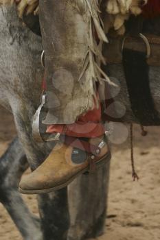 Horseback Stock Photo