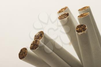 Tobacco-product Stock Photo
