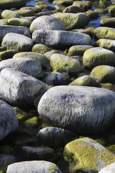 Rocks Stock Photo