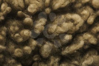 Wooly Stock Photo