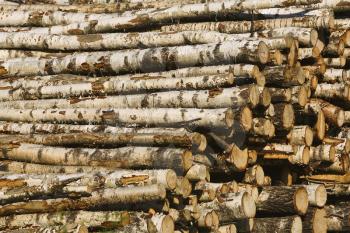 Lumberyard Stock Photo