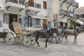 Horses Stock Photo