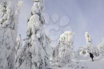 Polar Landscape Stock Photo