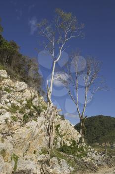 Physical Geography Stock Photo