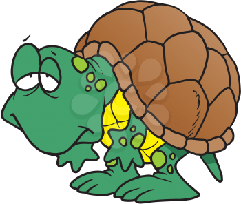 Royalty Free Clipart Image of a Turtle
