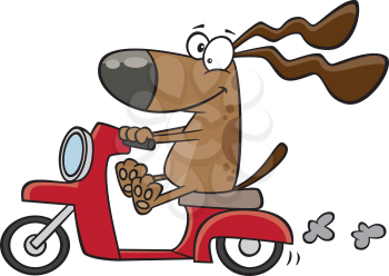 Royalty Free Clipart Image of a Dog on a Scooter