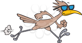 Royalty Free Clipart Image of a Roadrunner