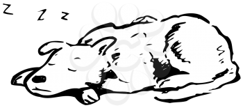 Royalty Free Clipart Image of a Sleeping Dog