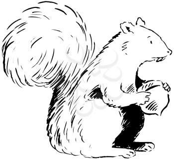 Royalty Free Clipart Image of a Squirrel With an Acorn